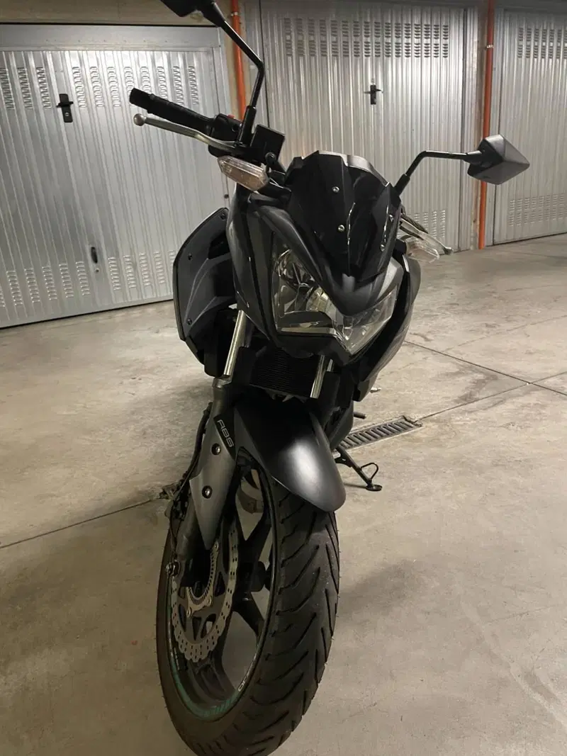 Kawasaki Z 300 ABS (2015 - 16) (3)