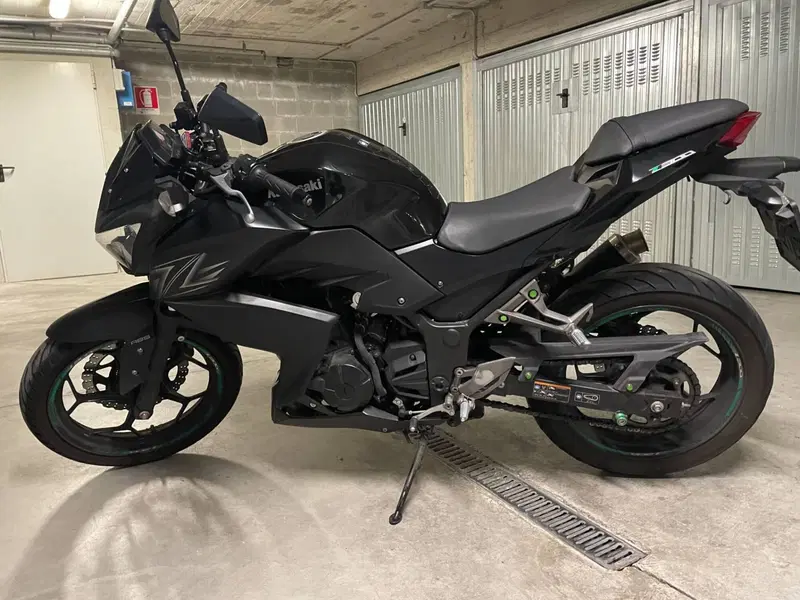Kawasaki Z 300 ABS (2015 - 16)