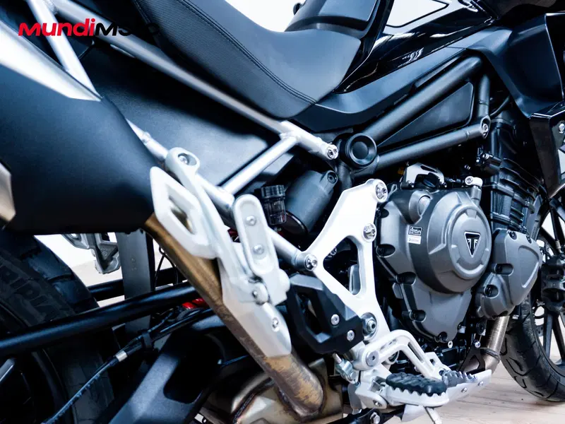 Triumph Tiger 1200 GT Pro (2024 - 26) (3)
