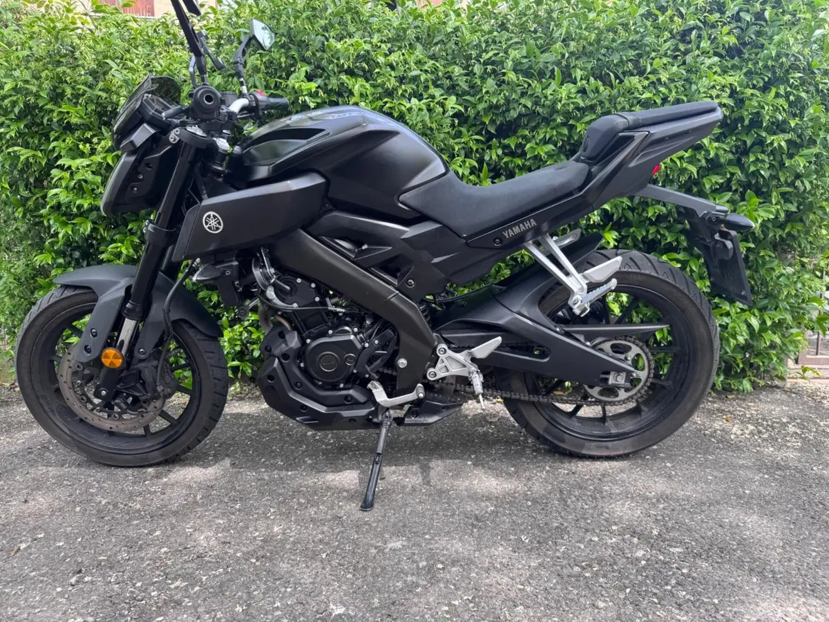Yamaha MT-125 ABS (2017 - 19) (4)