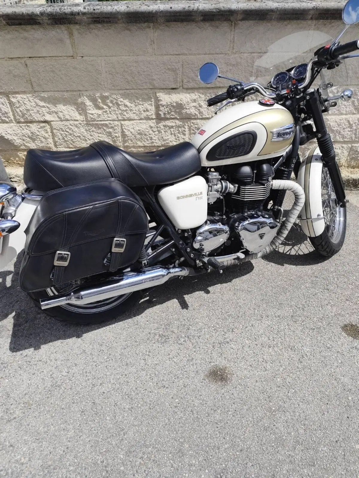 Triumph Bonneville T100 (2008 - 16) (2)