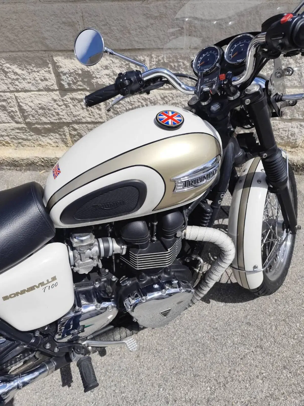 Triumph Bonneville T100 (2008 - 16) (3)