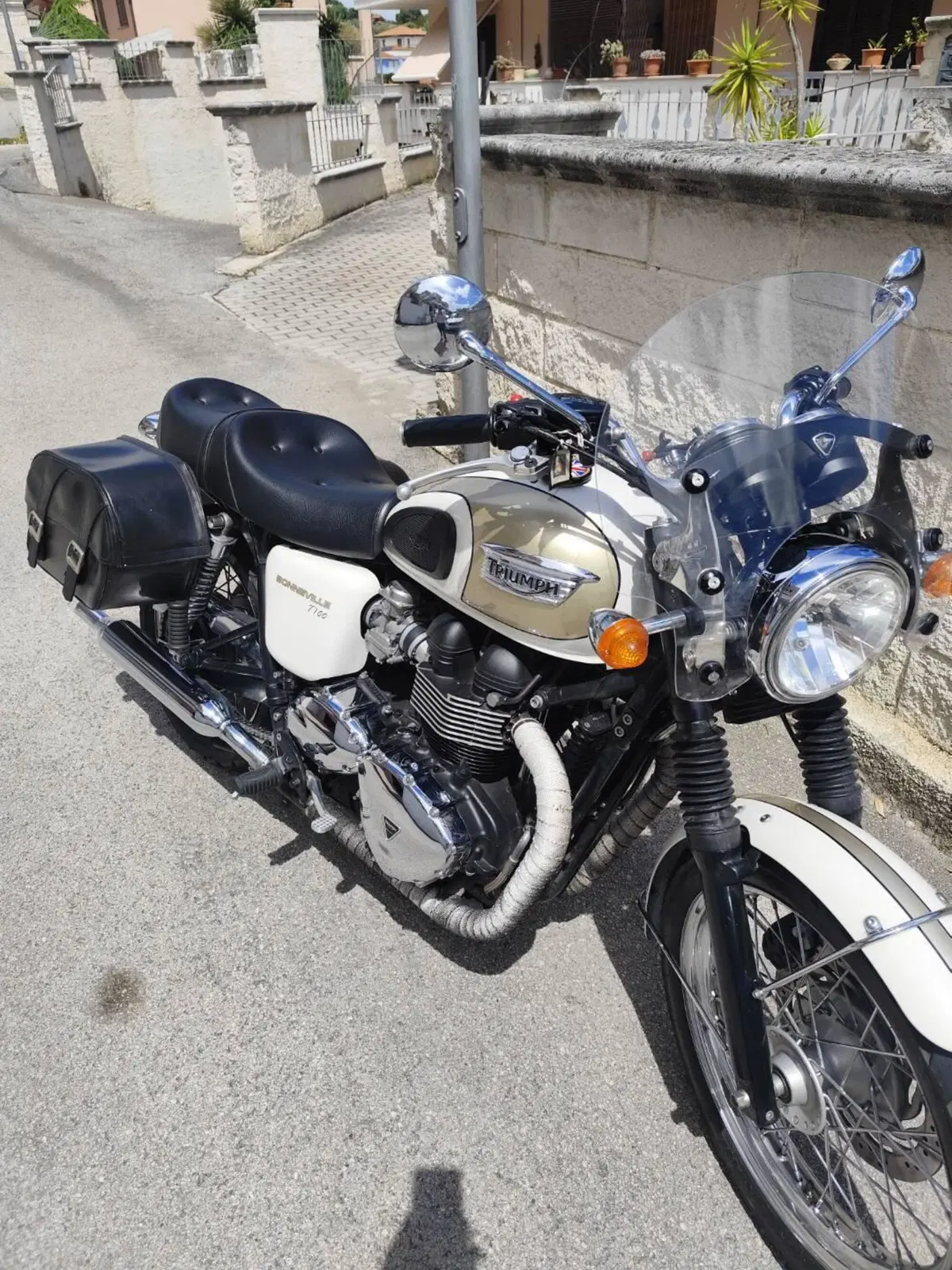Triumph Bonneville T100 (2008 - 16) (7)