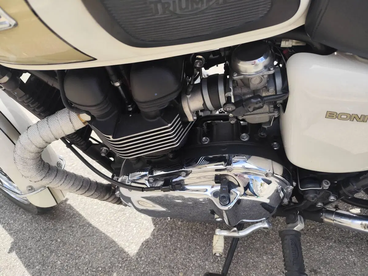 Triumph Bonneville T100 (2008 - 16) (8)