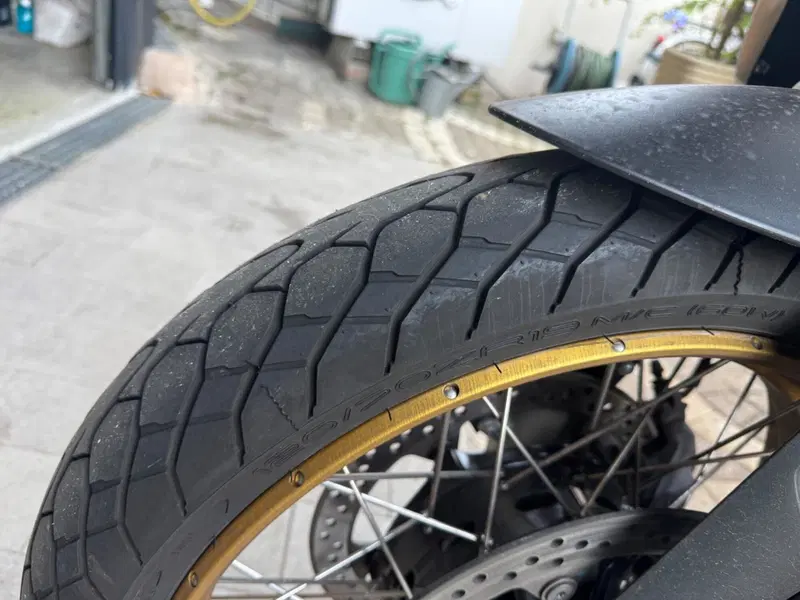 Bmw R 1250 GS - Edition 40 Years GS (2021) (6)