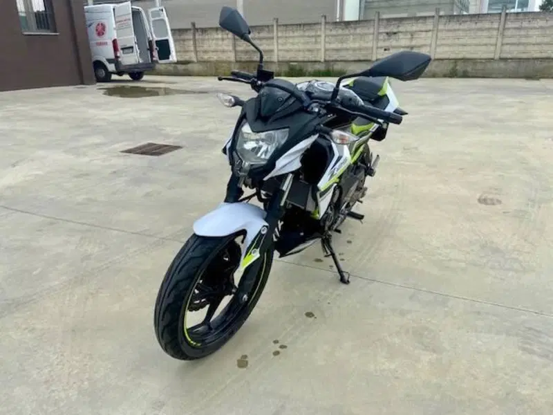 Kawasaki Z 125 (2019 - 20) (2)