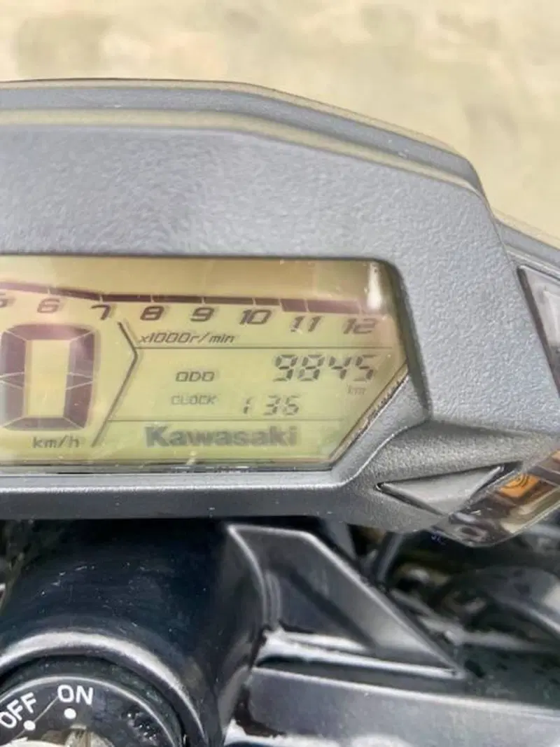 Kawasaki Z 125 (2019 - 20) (8)