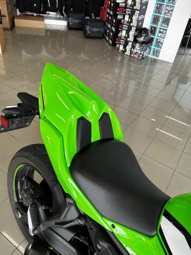 Kawasaki Ninja 650 (2025 - 26) (6)