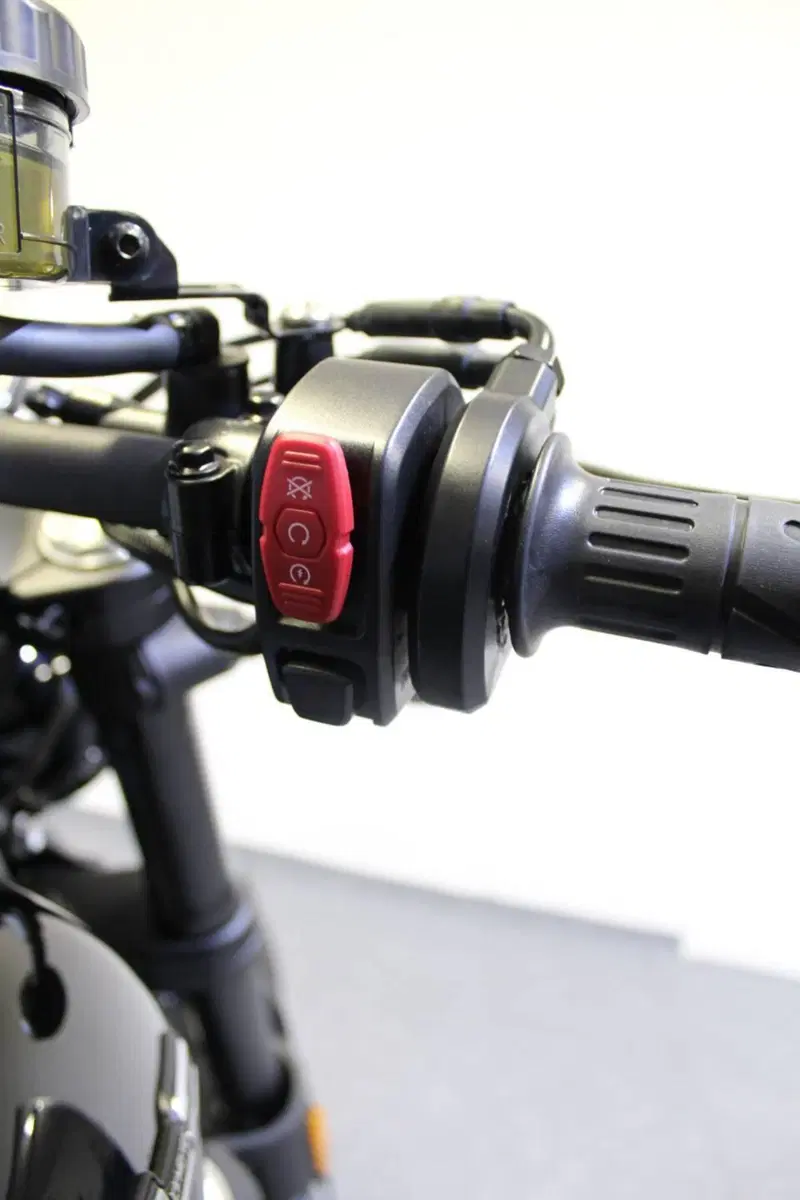 CFMOTO 450CL-C (2024 - 26) (11)