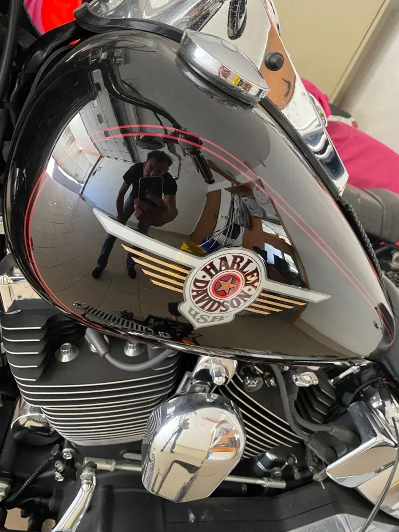 Harley-Davidson 1450 Fat Boy (1999 - 02) - FLSTF (6)