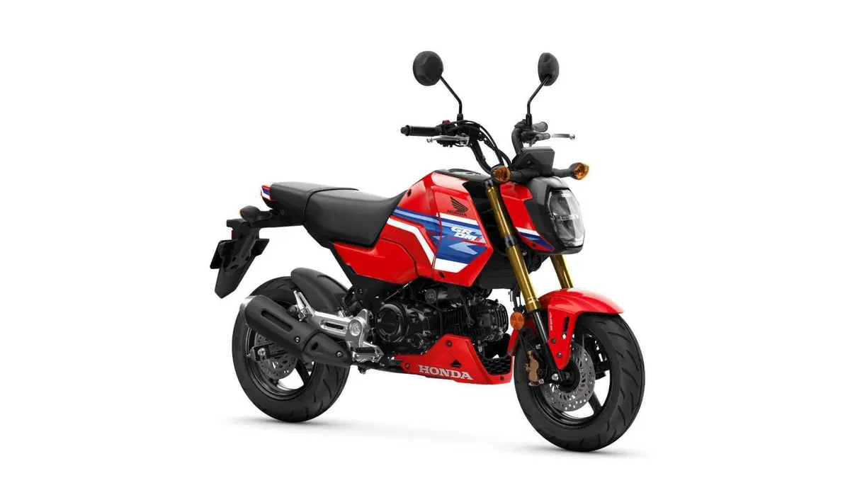 Honda MSX 125 MSX 125 Grom (2021 - 26) (2)