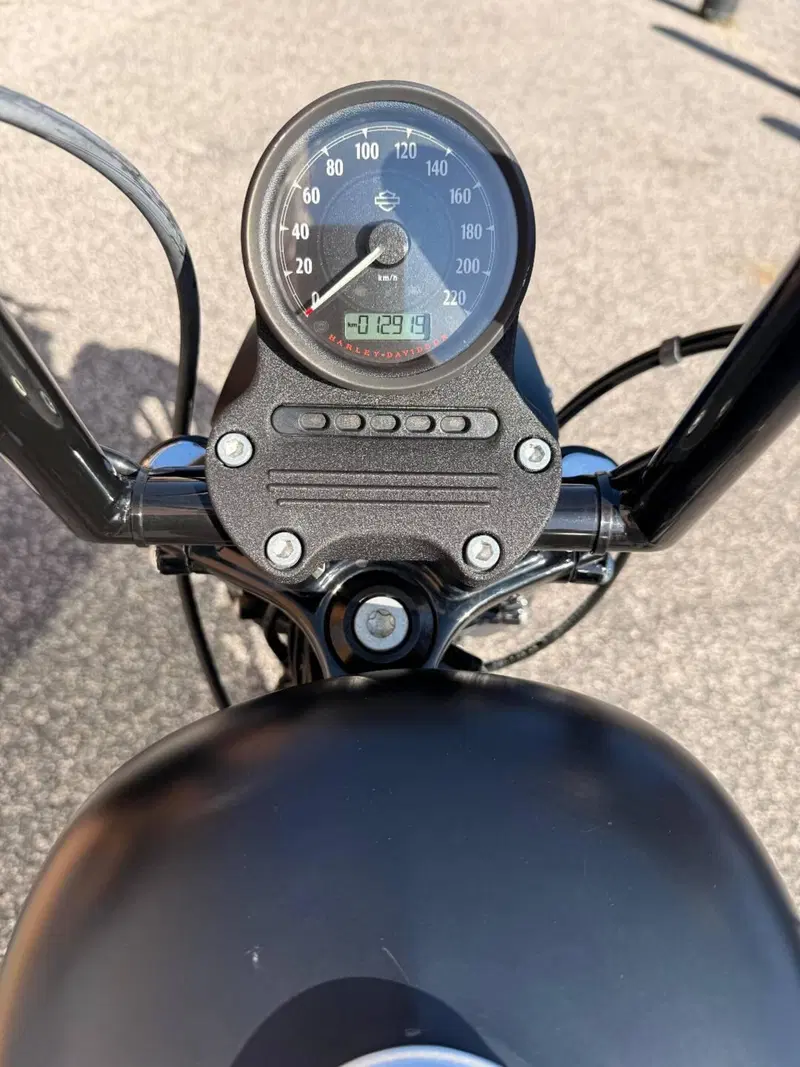 Harley-Davidson 883 Iron (2012 - 14) - XL 883N (6)