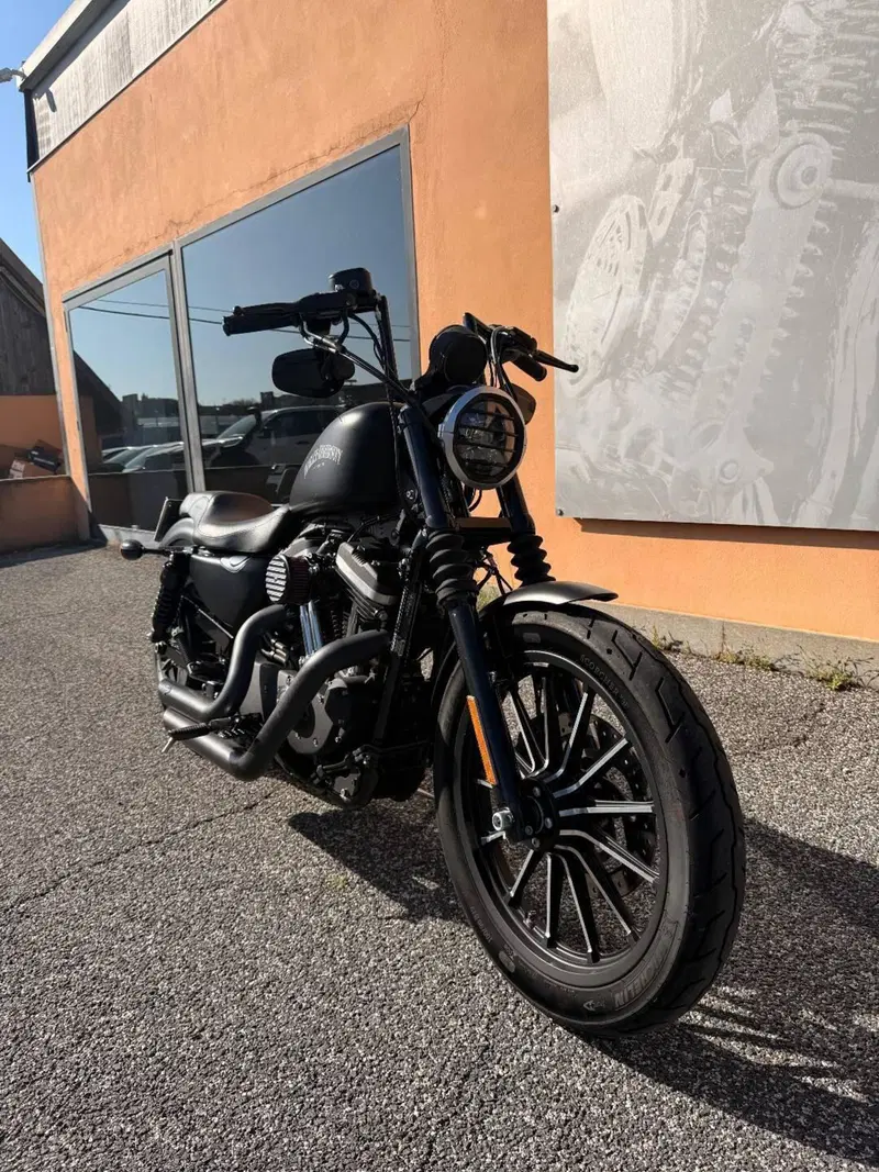 Harley-Davidson 883 Iron (2012 - 14) - XL 883N (11)