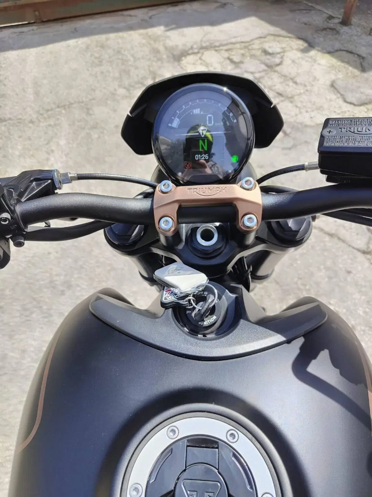 Triumph Trident 660 (2021 - 24) (4)