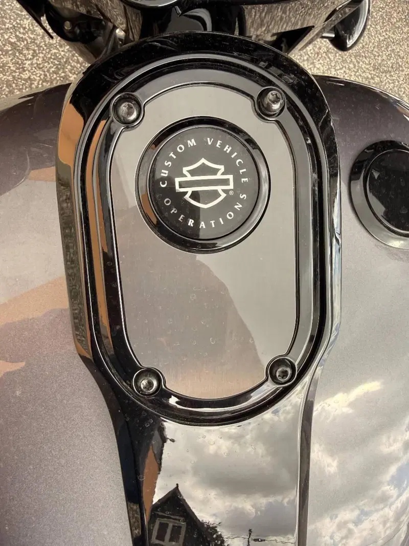 Harley-Davidson 117 Street Glide (2021) - FLHXSE (3)