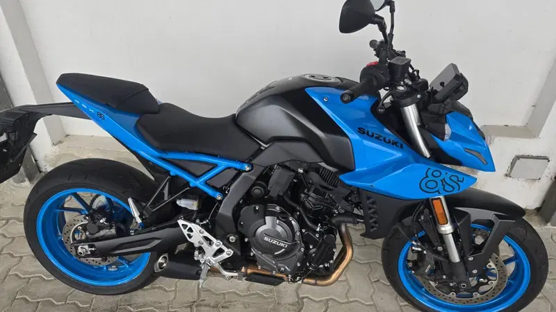 Suzuki GSX-8S (2023 - 24) (4)