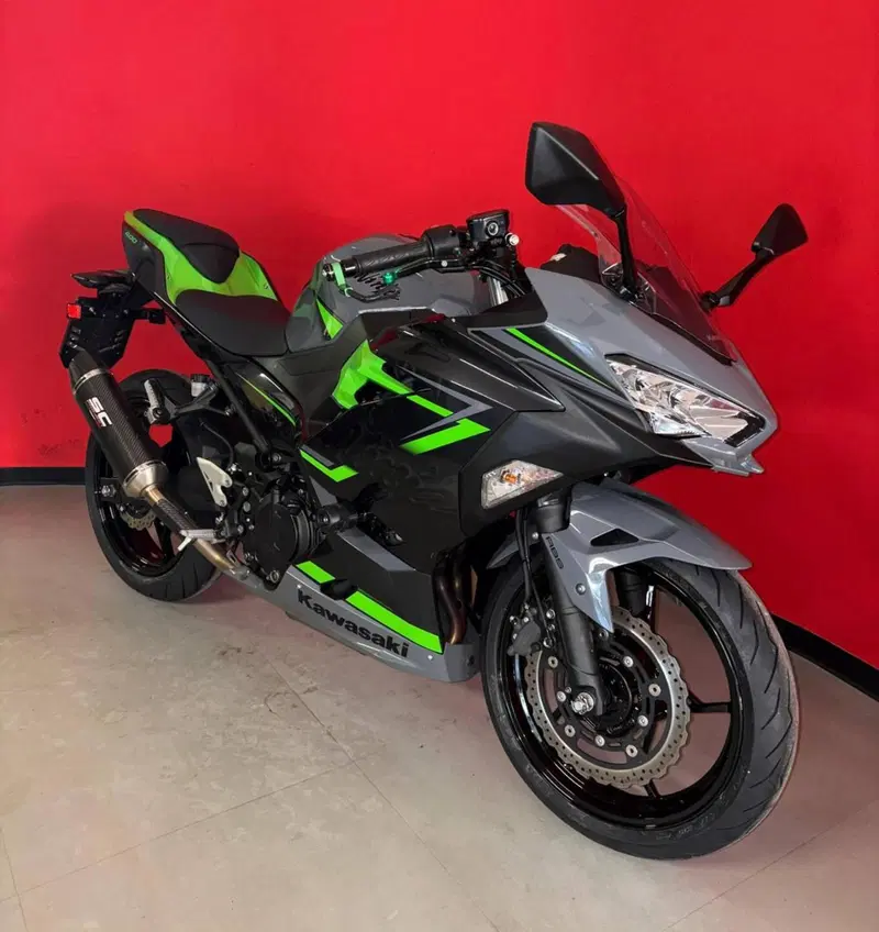 Kawasaki Ninja 400 (2018 - 20) (2)