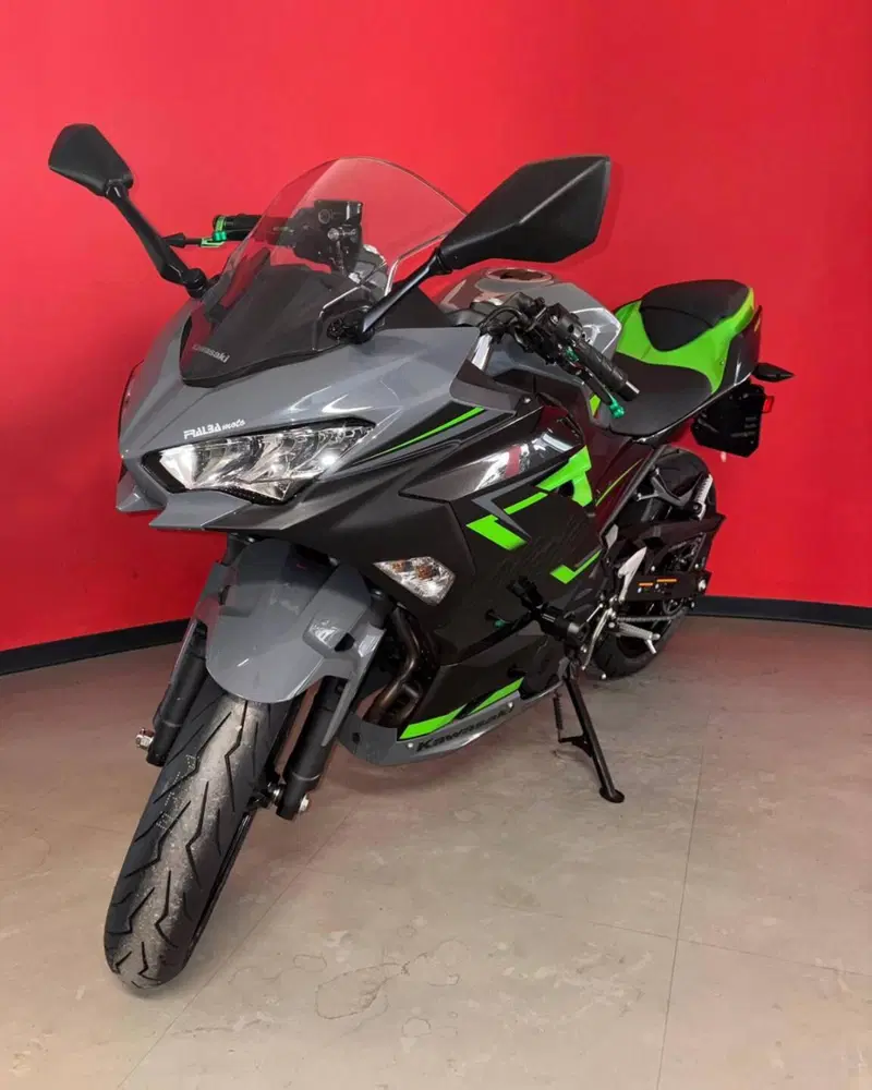 Kawasaki Ninja 400 (2018 - 20) (4)