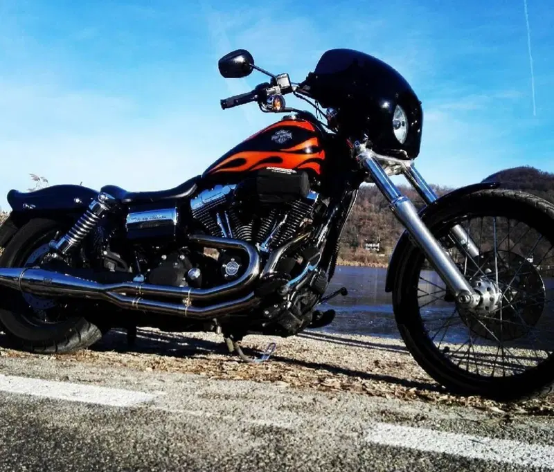 Harley-Davidson 1584 Wide Glide (2007 - 11) - FXDWG (4)