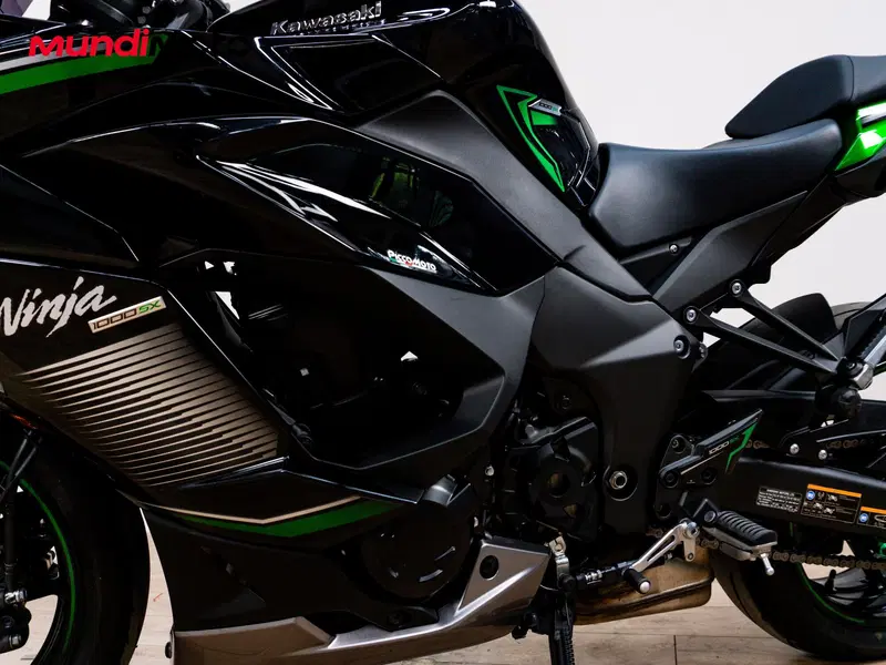 Kawasaki Ninja 1000 SX (2020) (9)