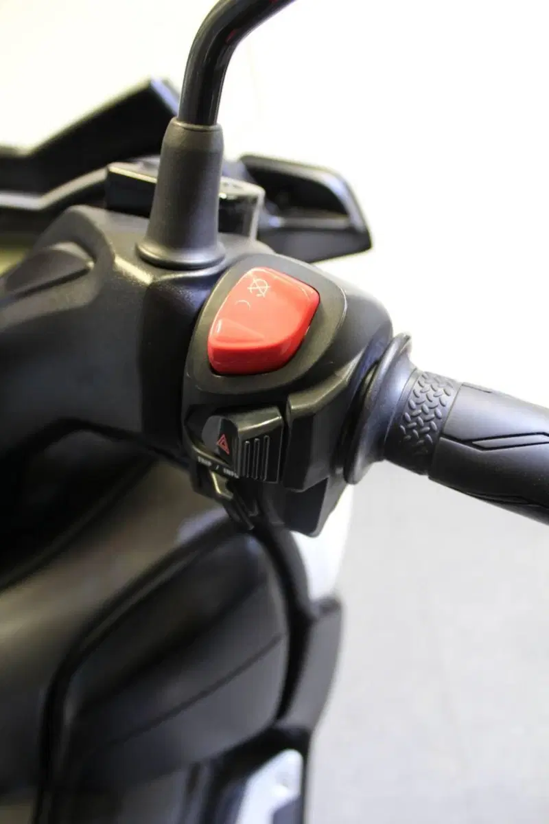Yamaha X-Max 300 ABS (2017 - 20) (11)