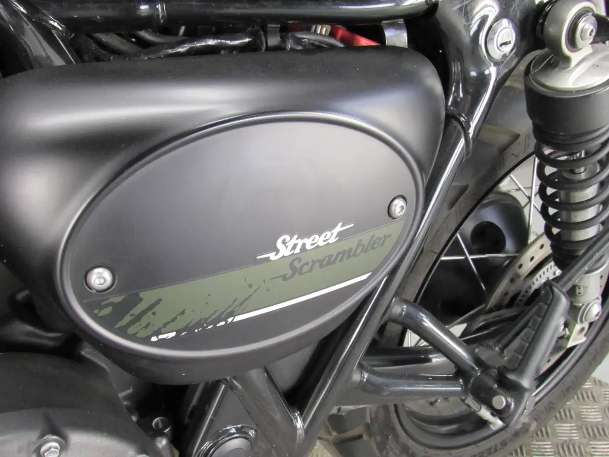 Triumph Street Scrambler 900 (2017 - 18) (12)