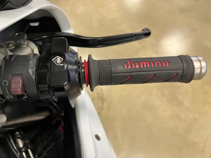 Ducati 959 Panigale (2016 - 19) (12)