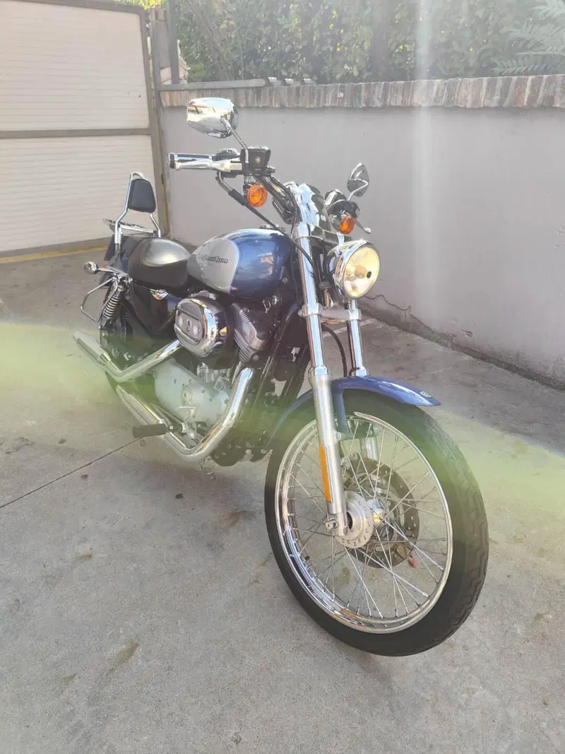 Harley-Davidson 883 Custom (2001 - 05) - XL 53C (3)