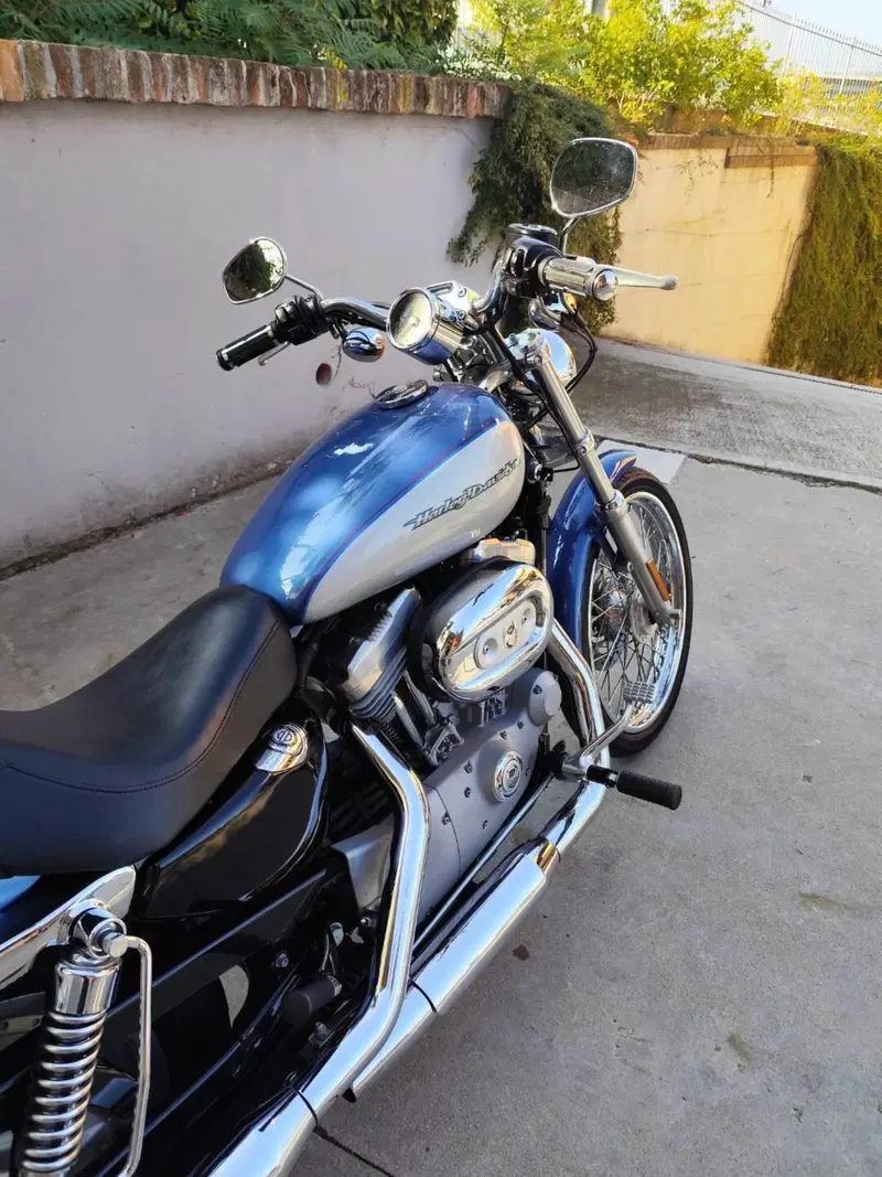 Harley-Davidson 883 Custom (2001 - 05) - XL 53C (4)