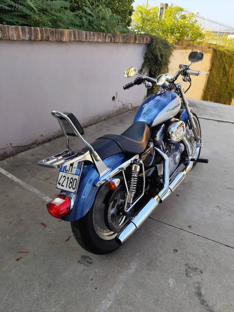 Harley-Davidson 883 Custom (2001 - 05) - XL 53C (5)