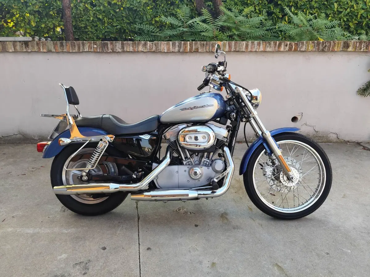 Harley-Davidson 883 Custom (2001 - 05) - XL 53C