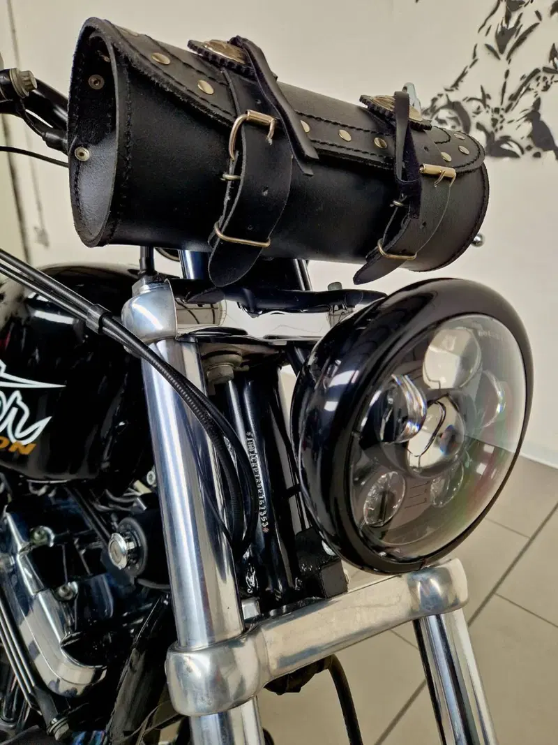 Harley-Davidson 1200 Custom (2001 - 03) - XL 1200C (20)