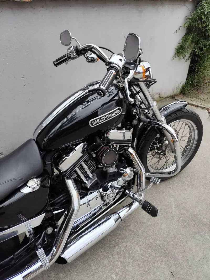 Harley-Davidson 1200 Low (2006 - 07) - XL 1200L (6)