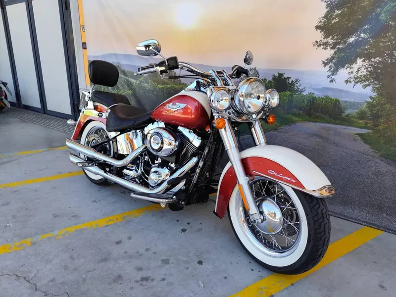Harley-Davidson 1690 Deluxe ABS (2011 - 16) - FLSTN (2)
