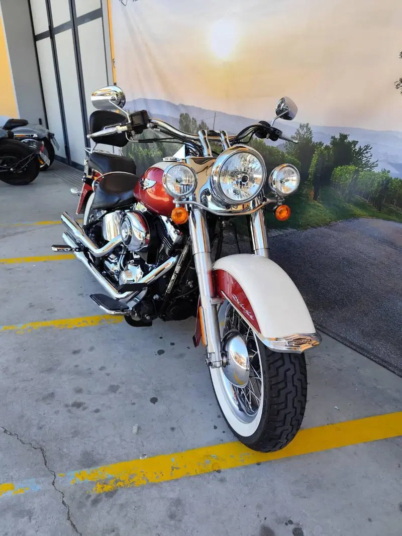 Harley-Davidson 1690 Deluxe ABS (2011 - 16) - FLSTN (3)