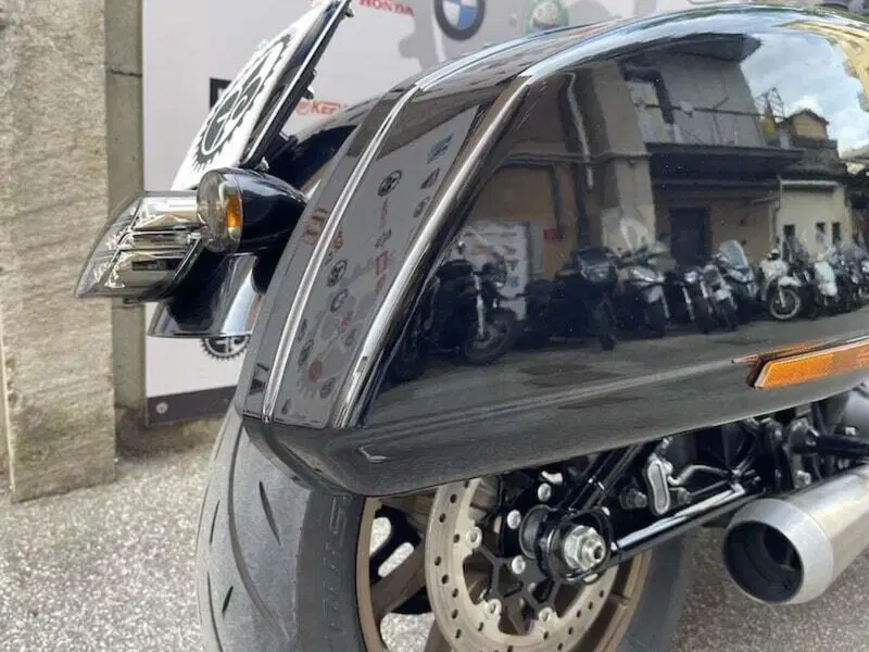 Harley-Davidson Low Rider ST (2022 - 24) (3)