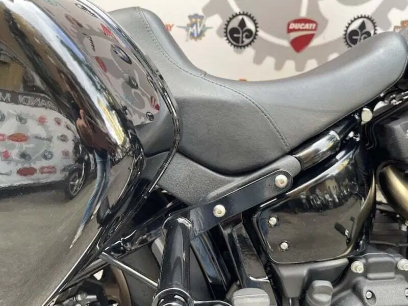 Harley-Davidson Low Rider ST (2022 - 24) (5)