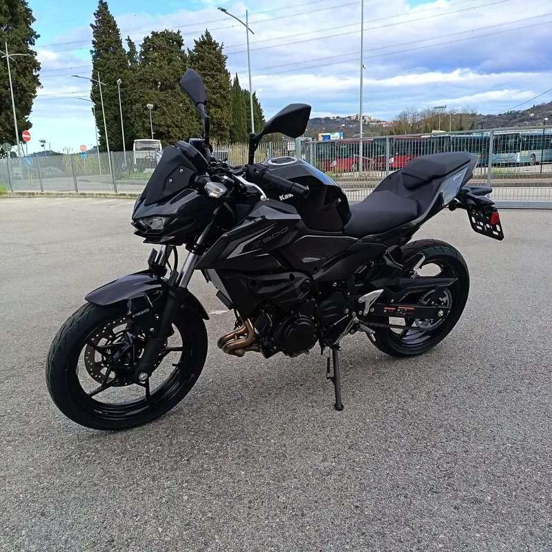 Kawasaki Z 500 (2024 - 26) (4)