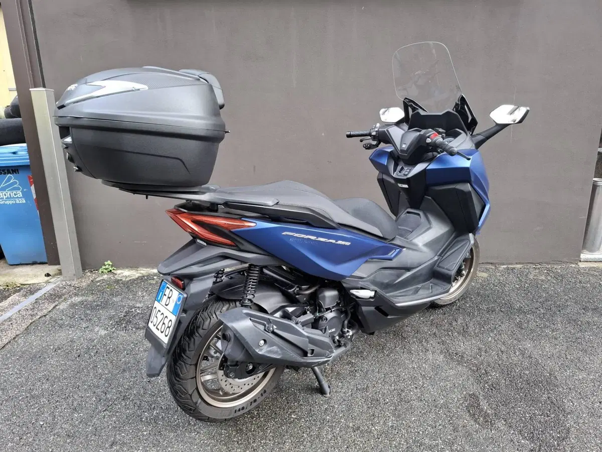 Honda Forza 350 (2022 - 24) (2)