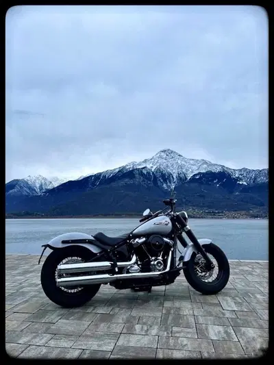 Harley-Davidson 107 Slim (2018 - 20) - FLSL usata