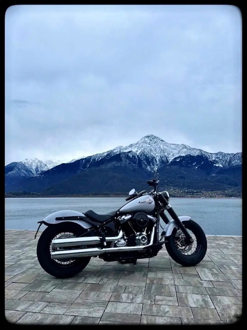Harley-Davidson 107 Slim (2018 - 20) - FLSL