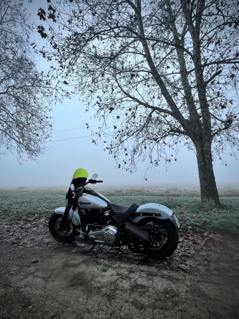 Harley-Davidson 107 Slim (2018 - 20) - FLSL (2)