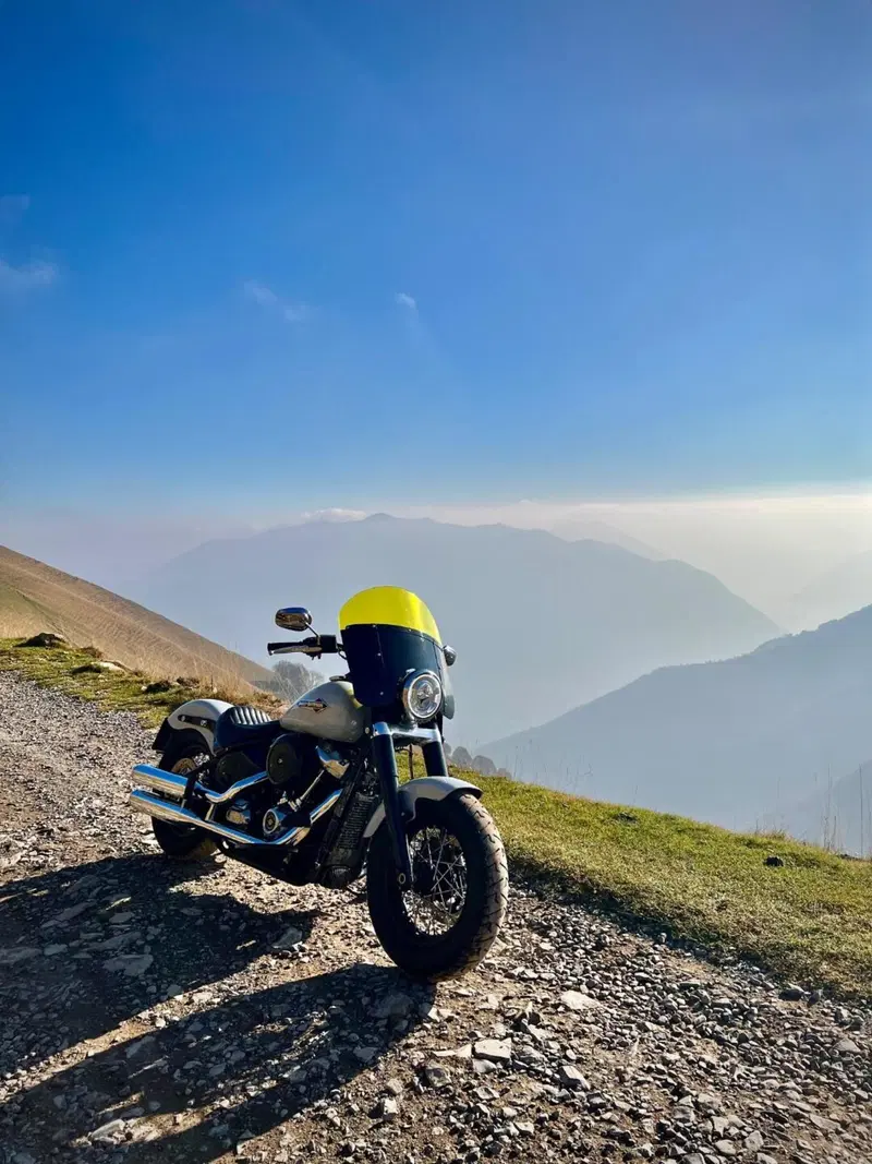 Harley-Davidson 107 Slim (2018 - 20) - FLSL (6)