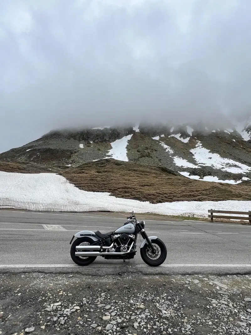 Harley-Davidson 107 Slim (2018 - 20) - FLSL (3)