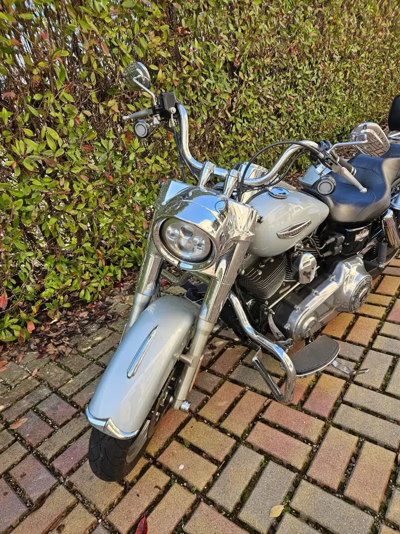 Harley-Davidson 1690 Switchback (2011 - 16) (4)