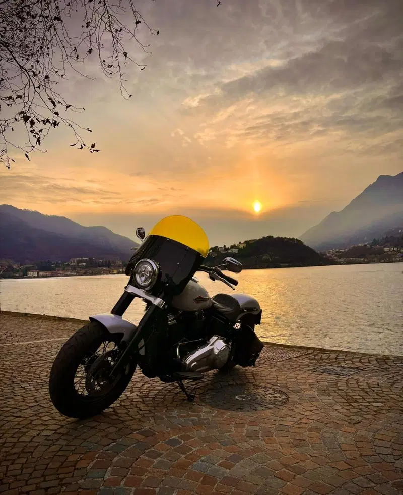 Harley-Davidson 107 Slim (2018 - 20) - FLSL (4)