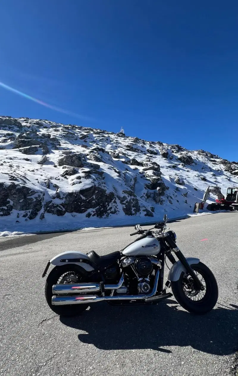 Harley-Davidson 107 Slim (2018 - 20) - FLSL (5)