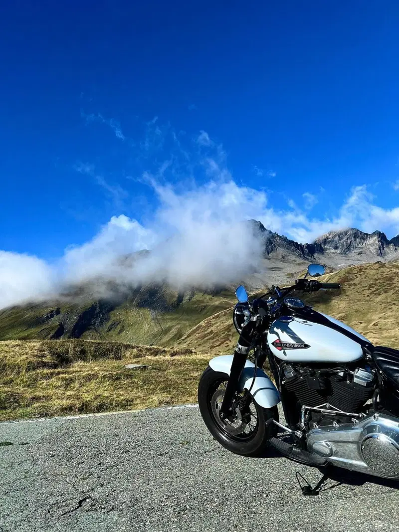 Harley-Davidson 107 Slim (2018 - 20) - FLSL (8)