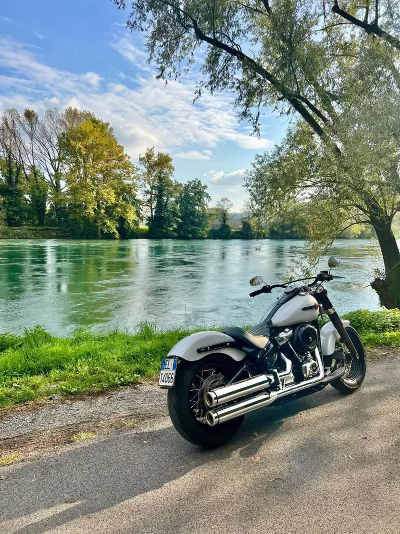Harley-Davidson 107 Slim (2018 - 20) - FLSL (9)