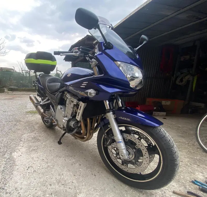 Suzuki GSF 1250 Bandit S (2006 - 11) (14)